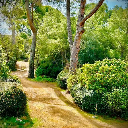 Maison De Maitre Dans La Nature